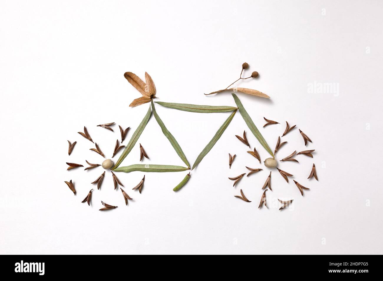 bicicletta, ecologicamente, biciclette, bicicletta, ecologically Foto Stock