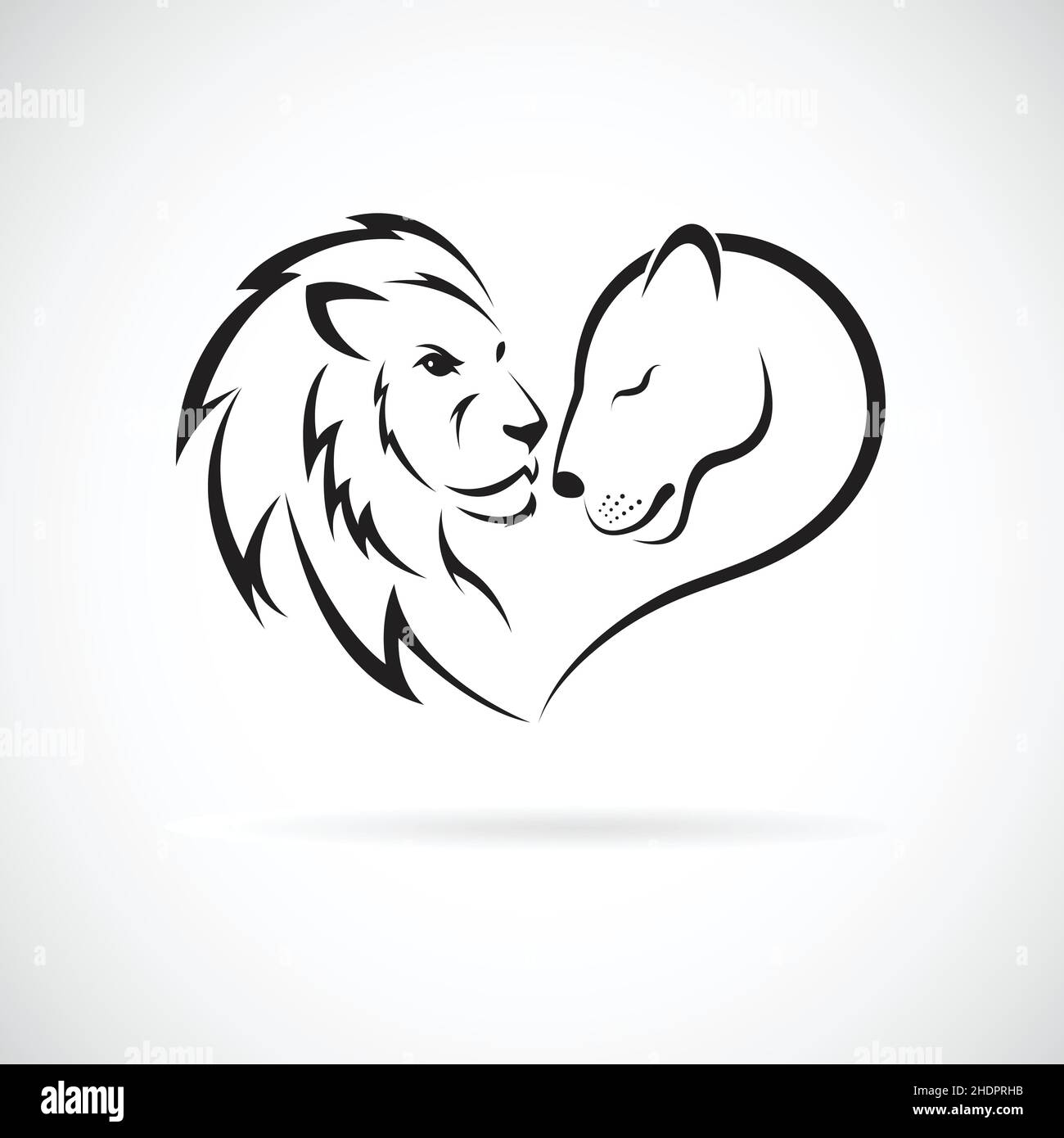 Leone maschile e leone femminile su sfondo bianco. Animali selvatici. Logo o icona Lion. Illustrazione vettoriale a livelli facilmente modificabile. Illustrazione Vettoriale