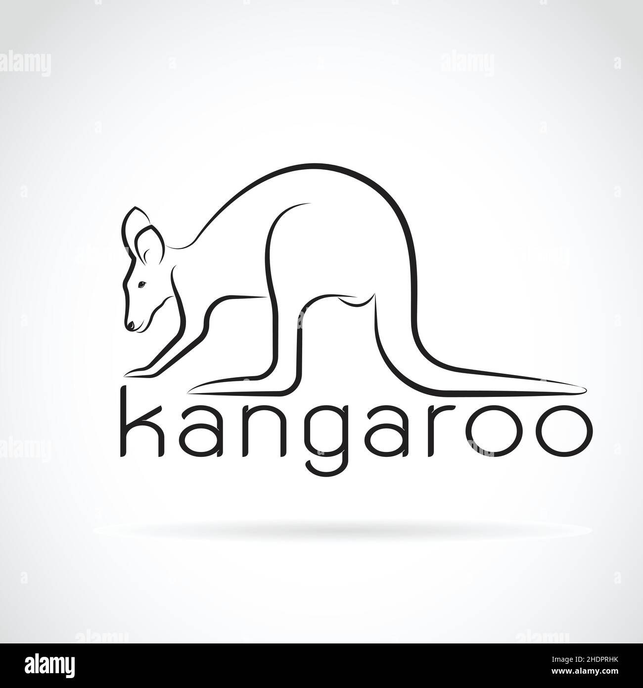 Vettore di un canguro su sfondo bianco. Animali selvatici. Illustrazione vettoriale a livelli facilmente modificabile. Illustrazione Vettoriale