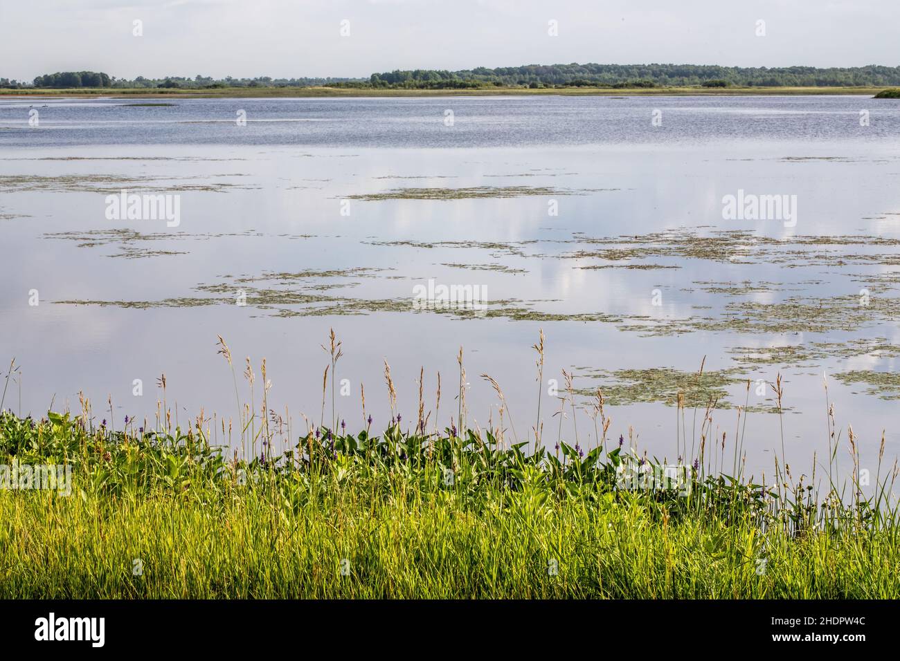 Phantom Lake, che si trova nella Crex Meadows state Wildlife Area, una proprietà di 30.000 acri di flora e fauna selvatiche gestita dal Natural Resources-Bureau of Wildlife Foto Stock