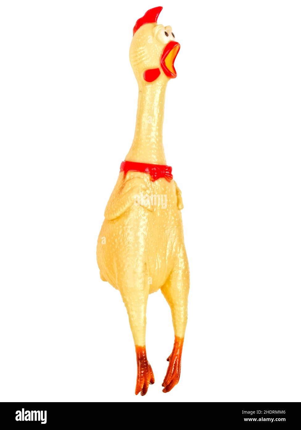 Pollo, animale di gomma, pollo di gomma, polli, animali di gomma Foto stock  - Alamy