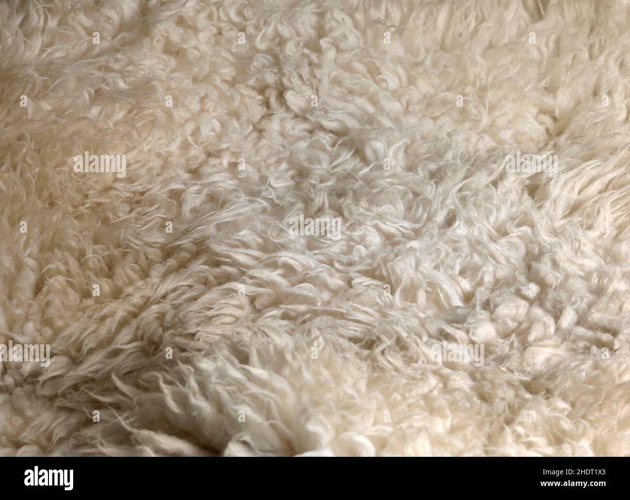 pelliccia, pelle di pecora, pellicce, pelli di pecora Foto Stock