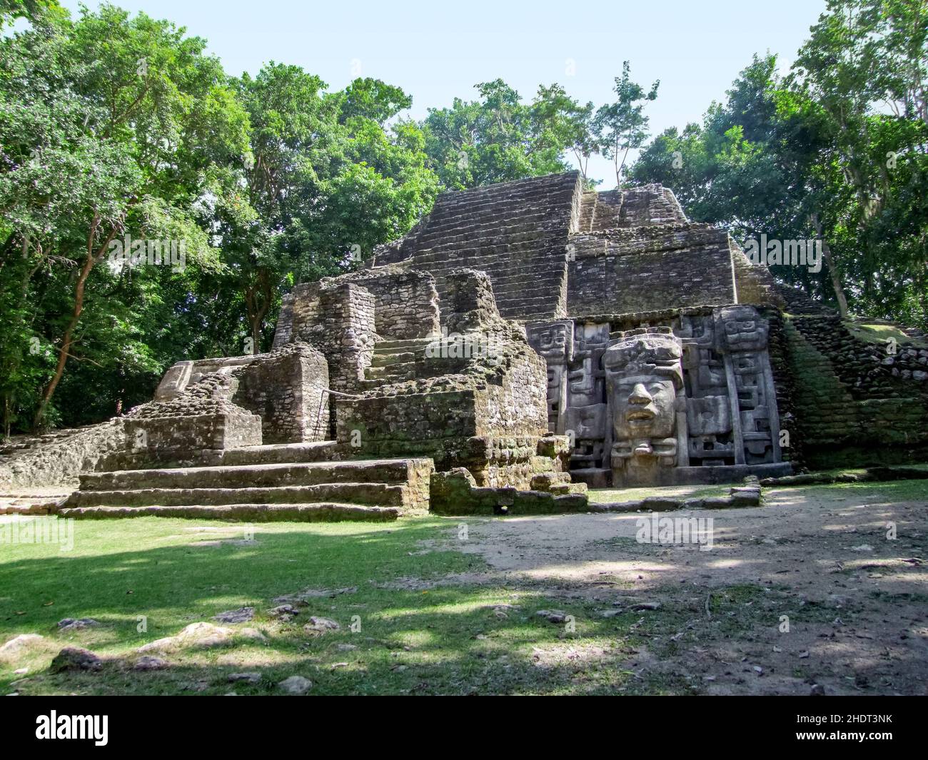 giungla, tempio, maya, tempio maya, belize, foresta pluviale, templi, maya, templi maya Foto Stock