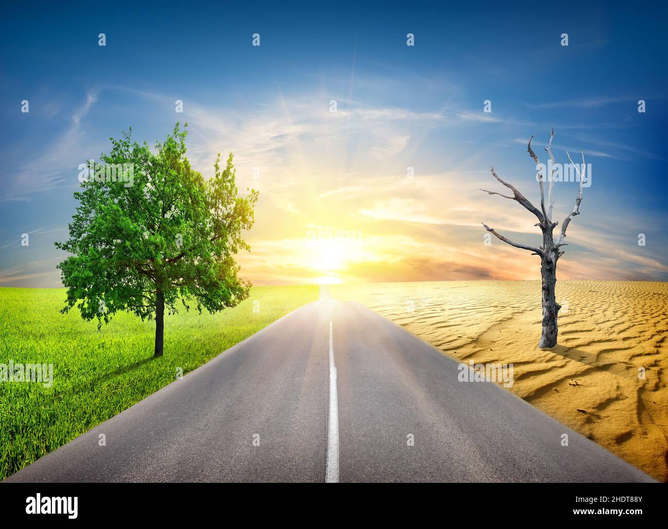 clima, danni ambientali, ecologia, riscaldamento globale, climi, danni ambientali, ecologie Foto Stock