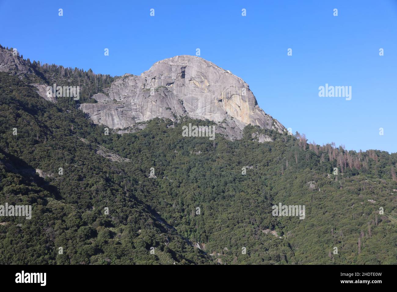 sierra nevada, Sequoia National Park, sierra nevadas Foto Stock