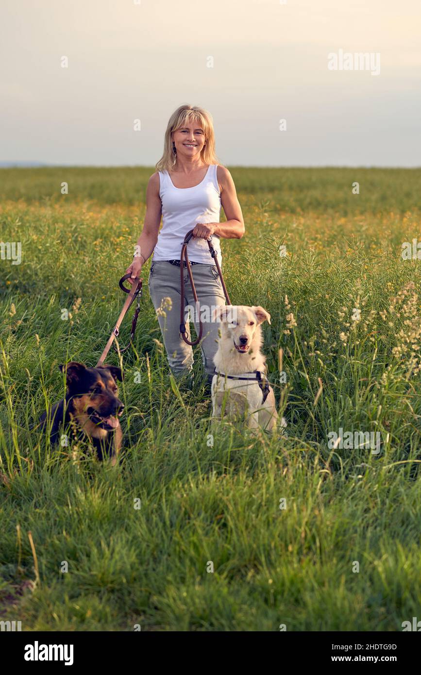 donna, cani, femmina, signore, signora, donne, cane Foto Stock