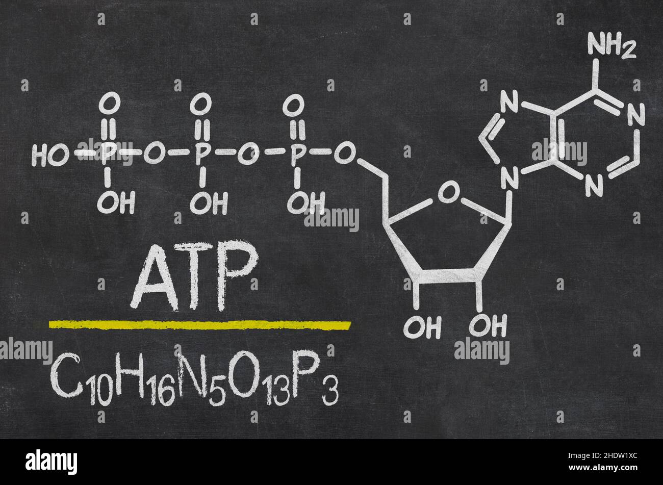 formula, adenosina trifosfato, atp, formule Foto Stock