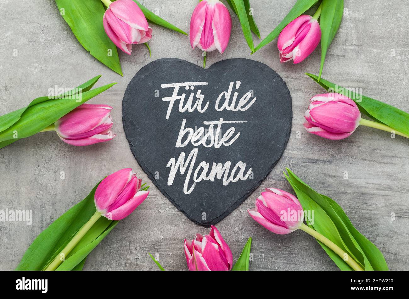 giorno delle madri, giorni delle madri Foto Stock