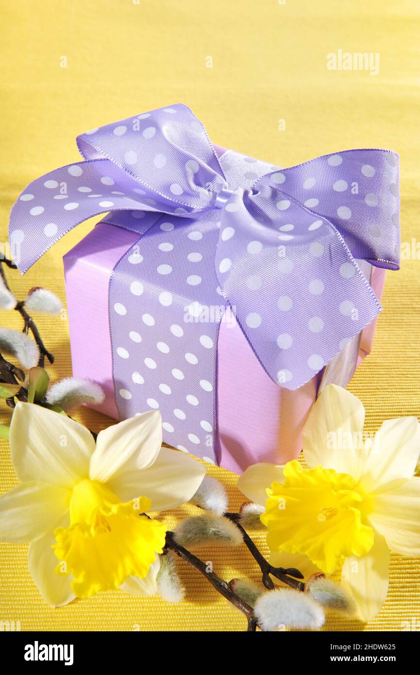 compleanno, regalo, giorno delle madri, compleanni, regali, presente, madri giorni Foto Stock