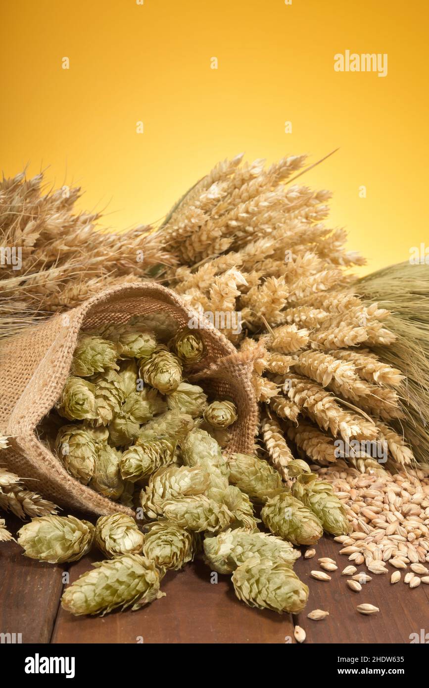 grano, orzo, luppolo, malto, grani, barili, luppolo, malto Foto Stock