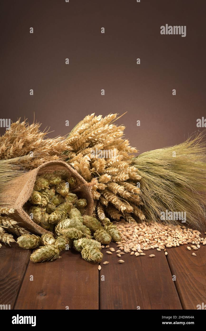 cereali, spezie e ingredienti, luppolo, cereali, spezie e ingredienti, luppolo Foto Stock