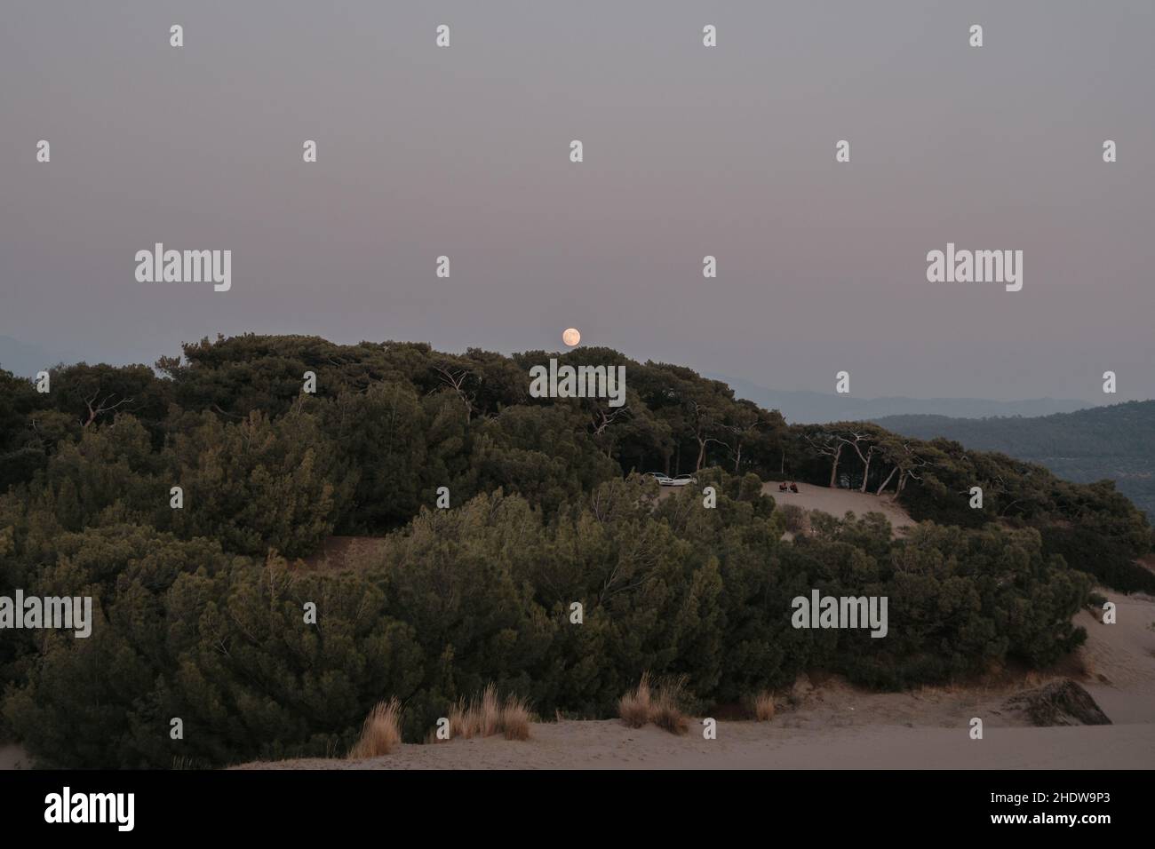 Luna piena su dune di sabbia spiaggia e foresta sullo sfondo. Dune di sabbia di Patara in Turchia Foto Stock