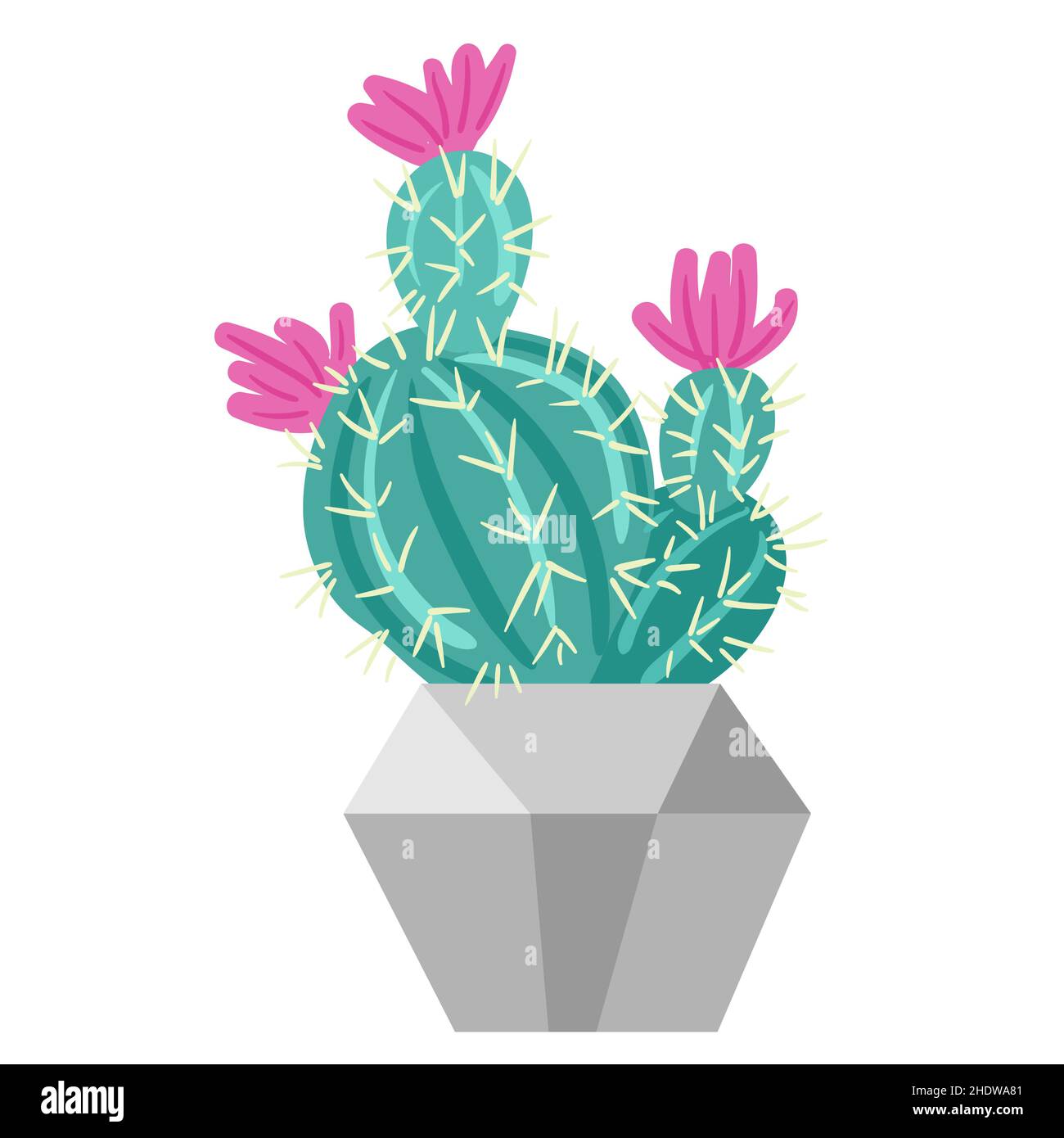 Collezione di piante in vaso. Piante domestiche. Illustrazione vettoriale disegnata a mano. Set di impianto interno vettoriale isolato su bianco. Illustrazione Vettoriale