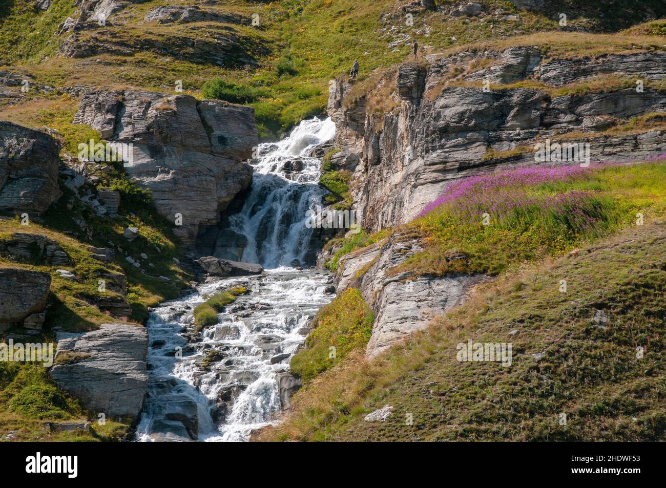 Cascata nei pressi di Bonneval-sur-Arc, Alpi, Savoia (73), Auvergne-Rhone-Alpes regione, Francia. Foto Stock