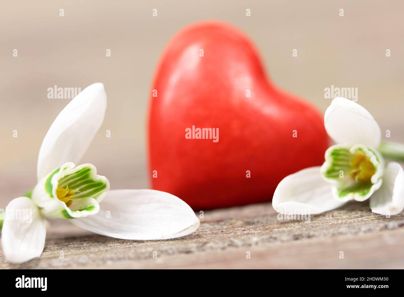 cuore, giorno delle madri, giglio della valle, cuori, giorni delle madri, giglio delle valli Foto Stock