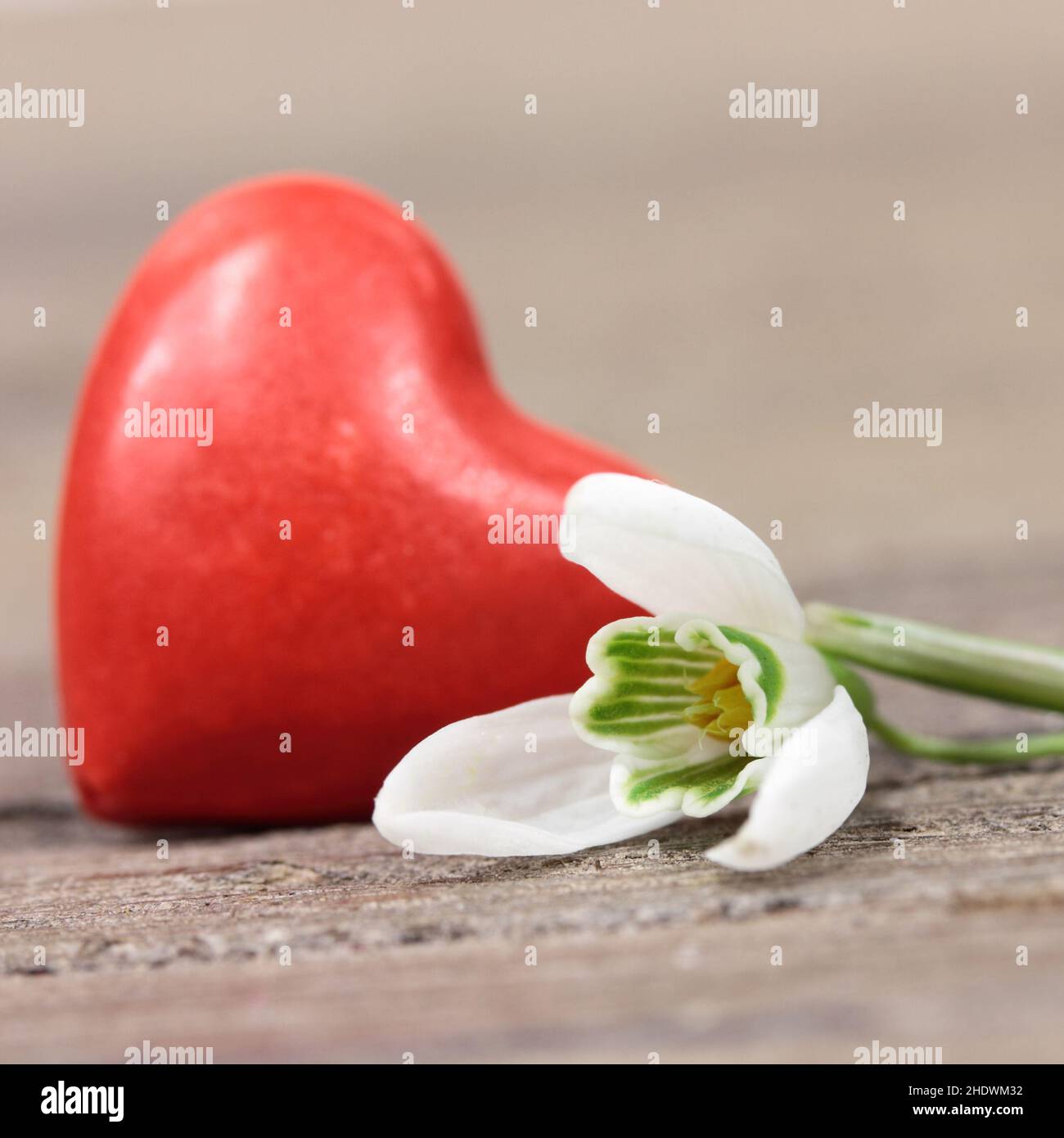 cuore, giorno delle madri, giglio della valle, cuori, giorni delle madri, giglio delle valli Foto Stock
