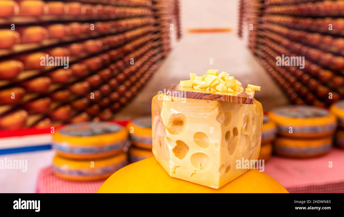 formaggi, degustazione, caseificio, formaggi, caseifici Foto Stock