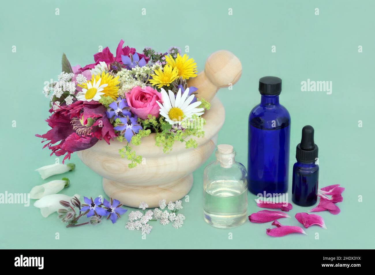 Preparazione essenziale dell'olio per i trattamenti di medicina di erbe aromatherbal della pianta. Erbe, fiori in un mortaio e sciolto con olio di mandorle per la macerazione. Foto Stock