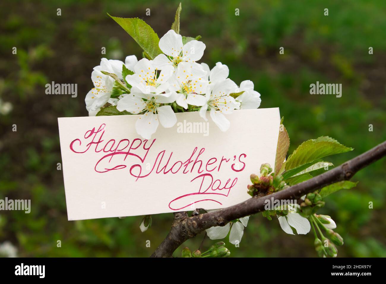 giorno delle madri, giorni delle madri Foto Stock
