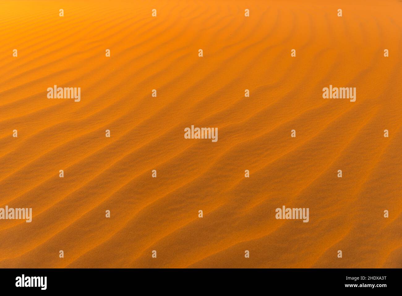 deserto, sabbia, increspata, deserti, wüste, sands, increspature Foto Stock