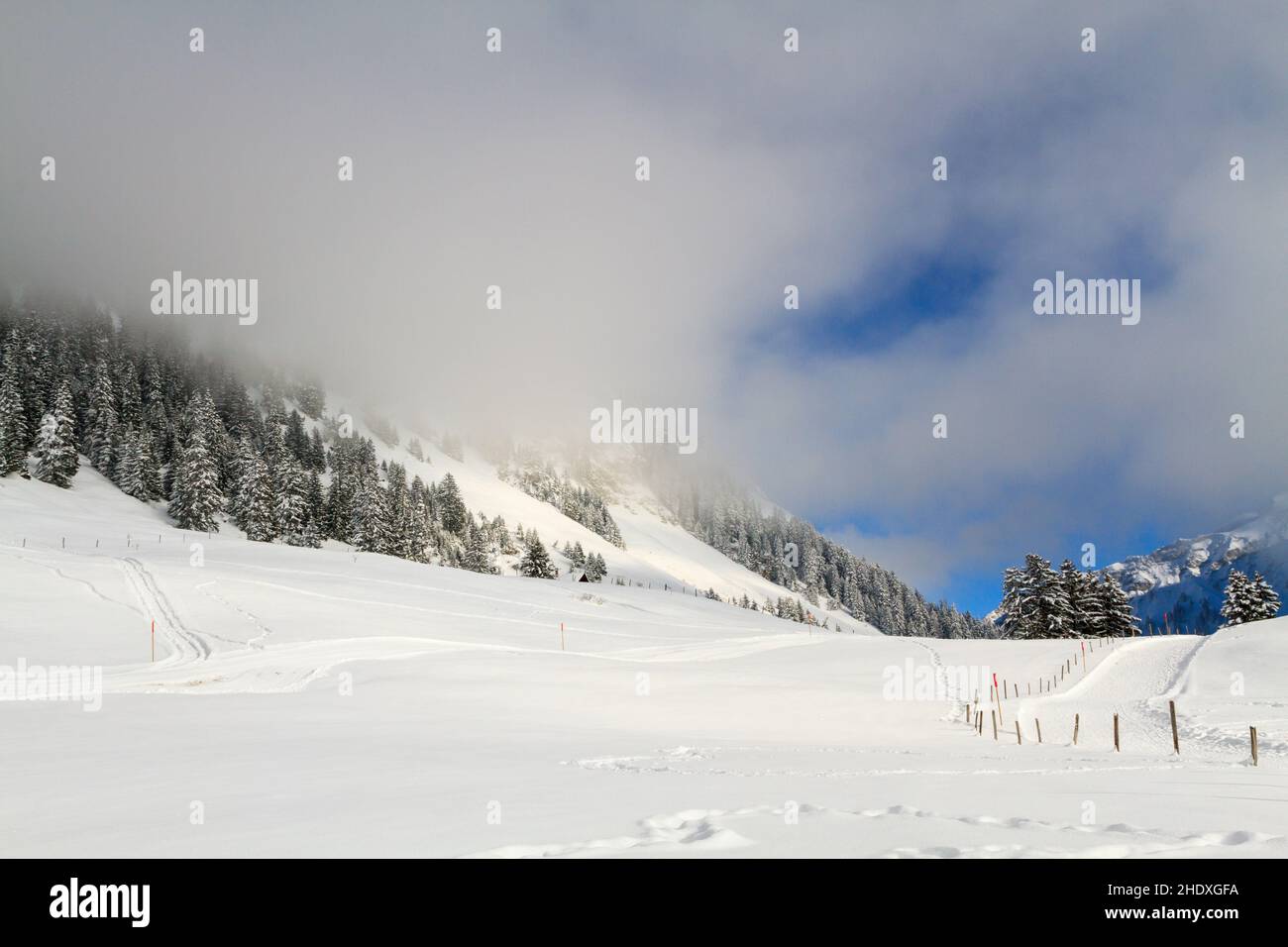 Paesaggio invernale, vacanze invernali, Villars-sur-Ollon, paesaggio, paesaggi, paesaggi invernali Foto Stock