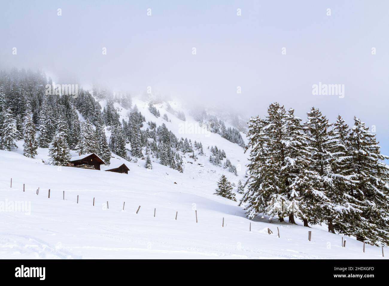 Paesaggio invernale, vacanze invernali, Villars-sur-Ollon, paesaggio, paesaggi, paesaggi invernali Foto Stock