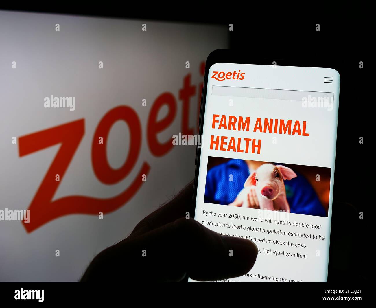 Persona che tiene il cellulare con pagina web della compagnia statunitense Zoetis Inc. Di droga animale sullo schermo di fronte al logo del business. Concentrarsi sul centro del display del telefono. Foto Stock
