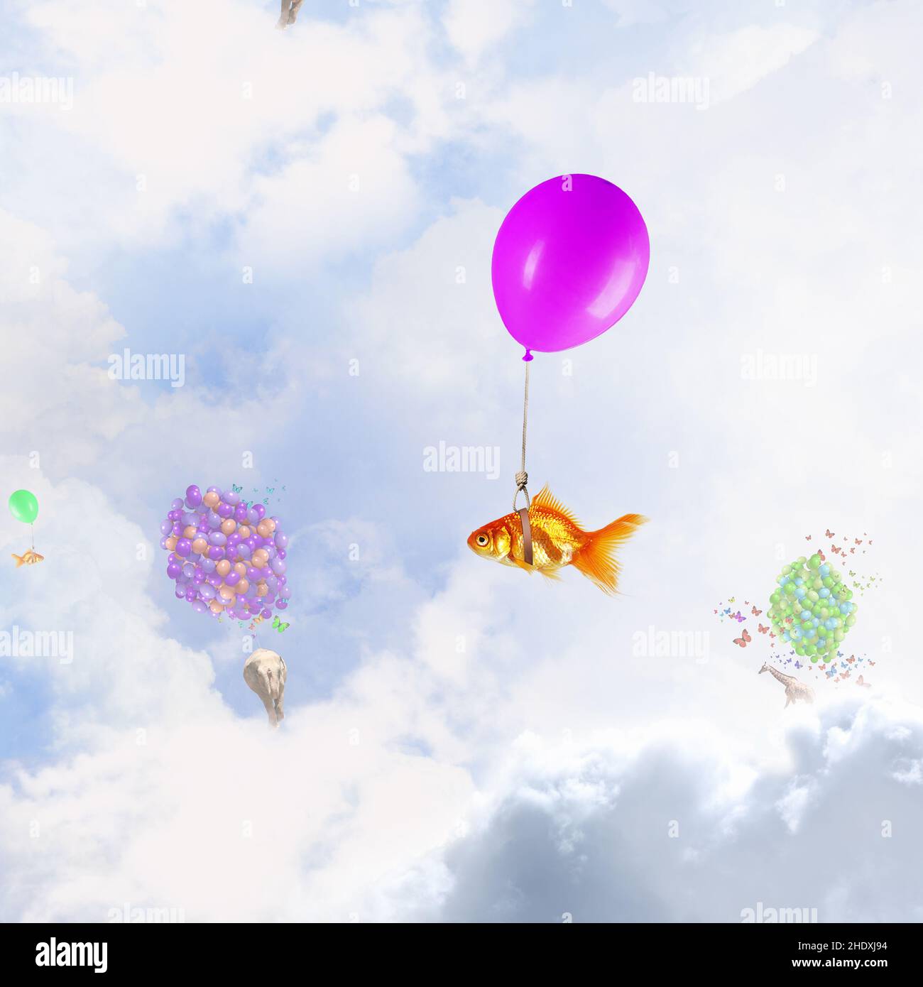 sogni, fantasia, leggerezza, sogno, sognare, fantasie, leggerezza, leggerezza Foto Stock