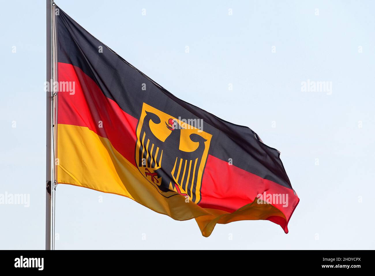 germania, aquila federale, bandiera, germania, aquile federali, flag Foto Stock