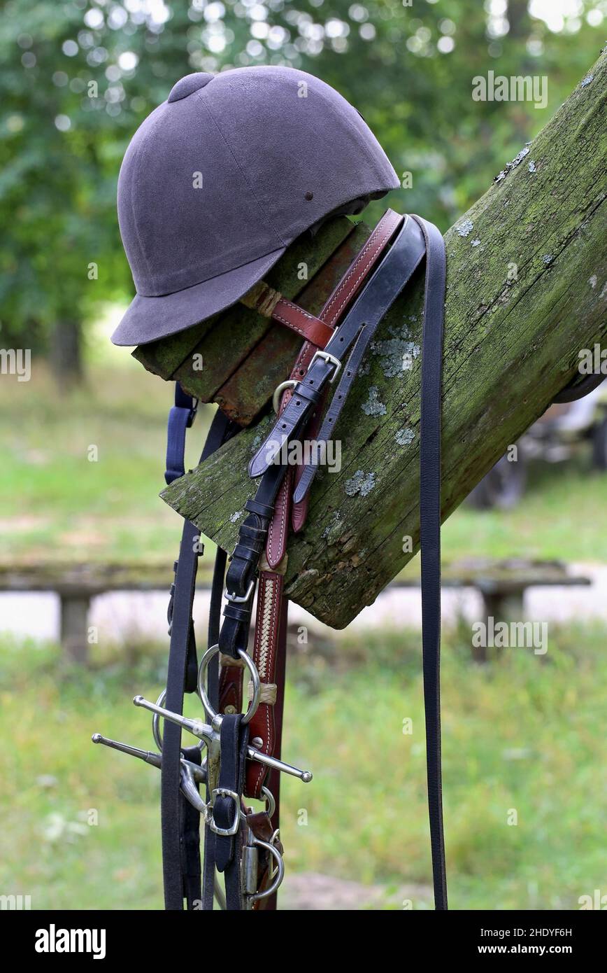 bridle, casco, imbracatura, cappello da equitazione, caschi da equitazione Foto Stock