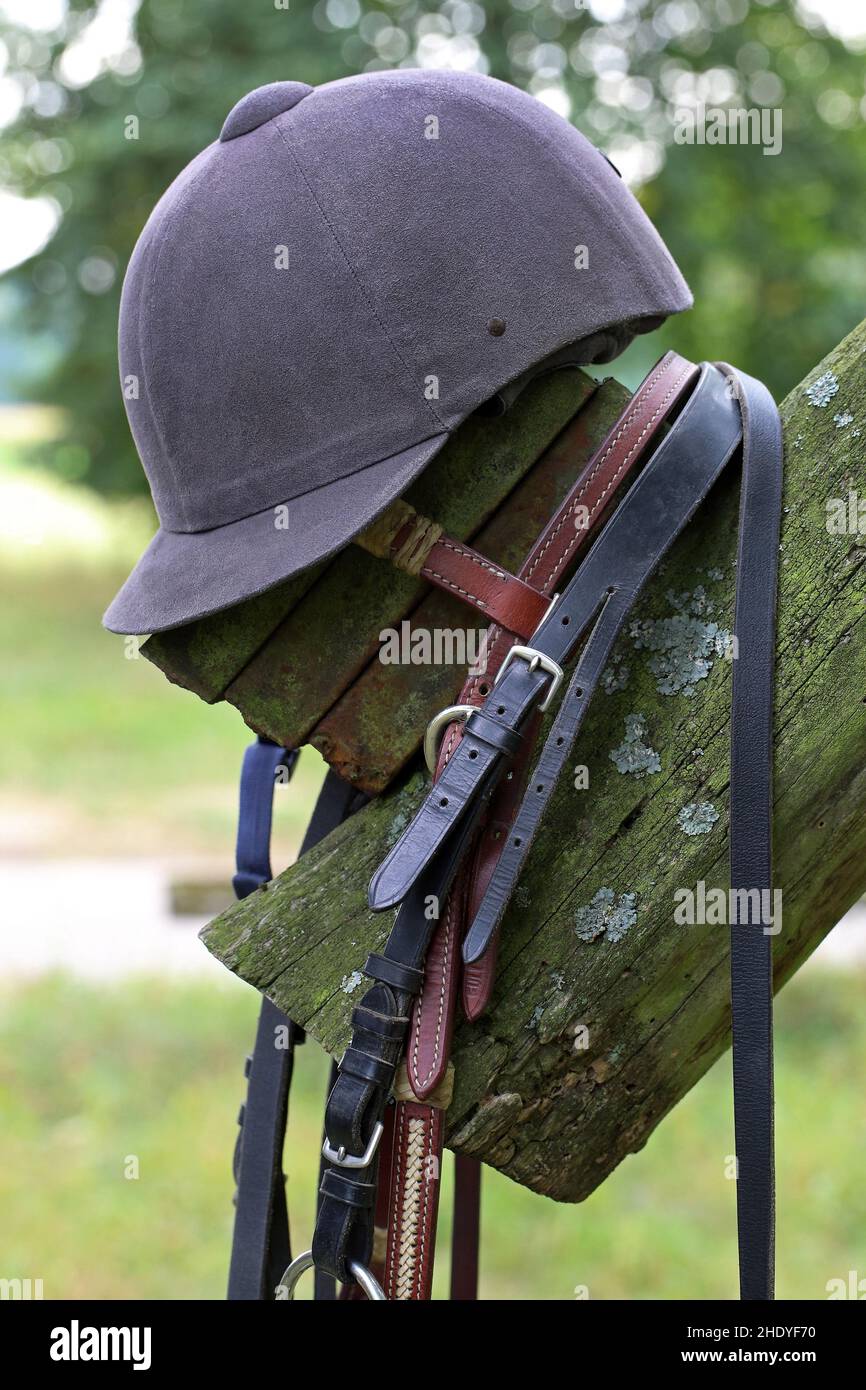 bridle, casco, imbracatura, cappello da equitazione, caschi da equitazione Foto Stock