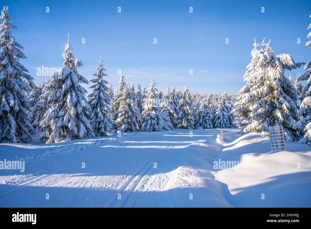 Pista da sci di fondo nella soleggiata giornata invernale Foto Stock