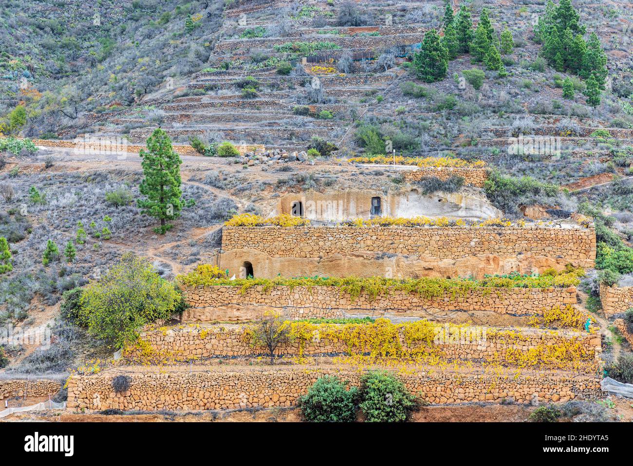 Villaggio di montagna e terrazzi agricoli di Las Fuentes, Guia de Isora, Tenerife, Isole Canarie, Spagna Foto Stock