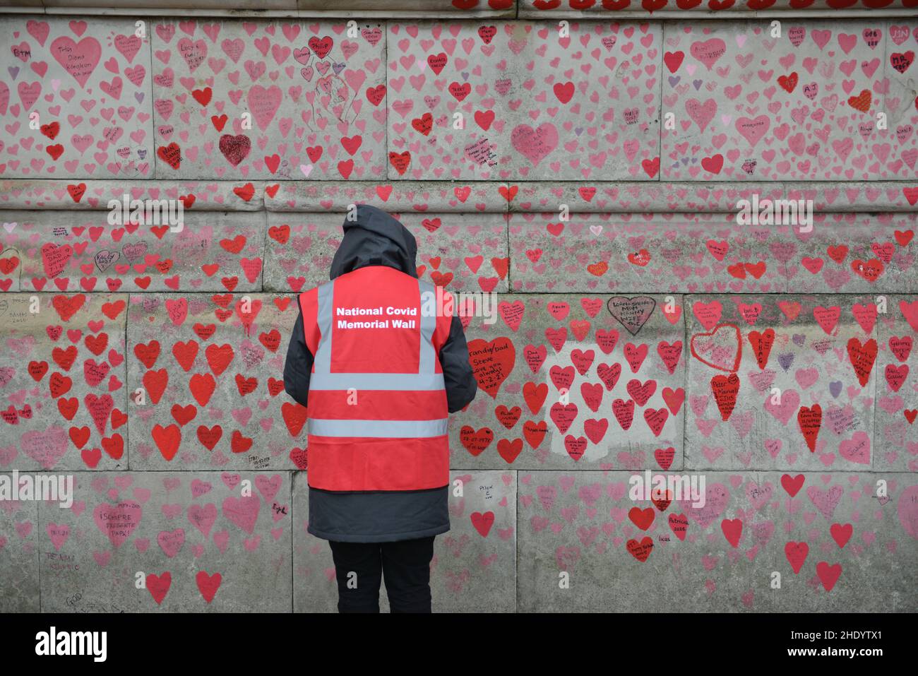 Londra, Regno Unito. 07th Jan 2022. I volontari dipingono nuovi cuori sul National Covid Memorial Wall, appena fuori dal St Thomas' Hospital. Gli ospedali di Londra affrontano un numero crescente di pazienti Covid. Credit: Thomas Krych/Alamy Live News Foto Stock