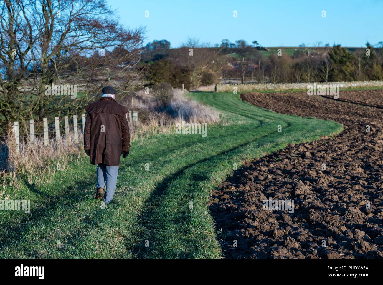 Uomo anziano che indossa il cappuccio piatto e la giacca cerata che cammina da solo su un bordo di campo in una fredda giornata di sole, East Lothian, Scozia, Regno Unito Foto Stock