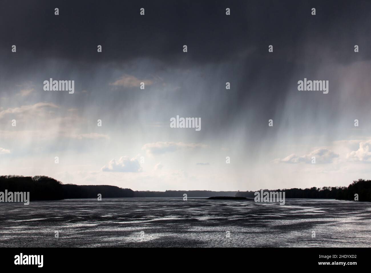 Liberland, ufficialmente la Repubblica libera di Liberland, è una micronazione che rivendica un pacco disabitato di terra contesa sulla riva occidentale del Danu Foto Stock