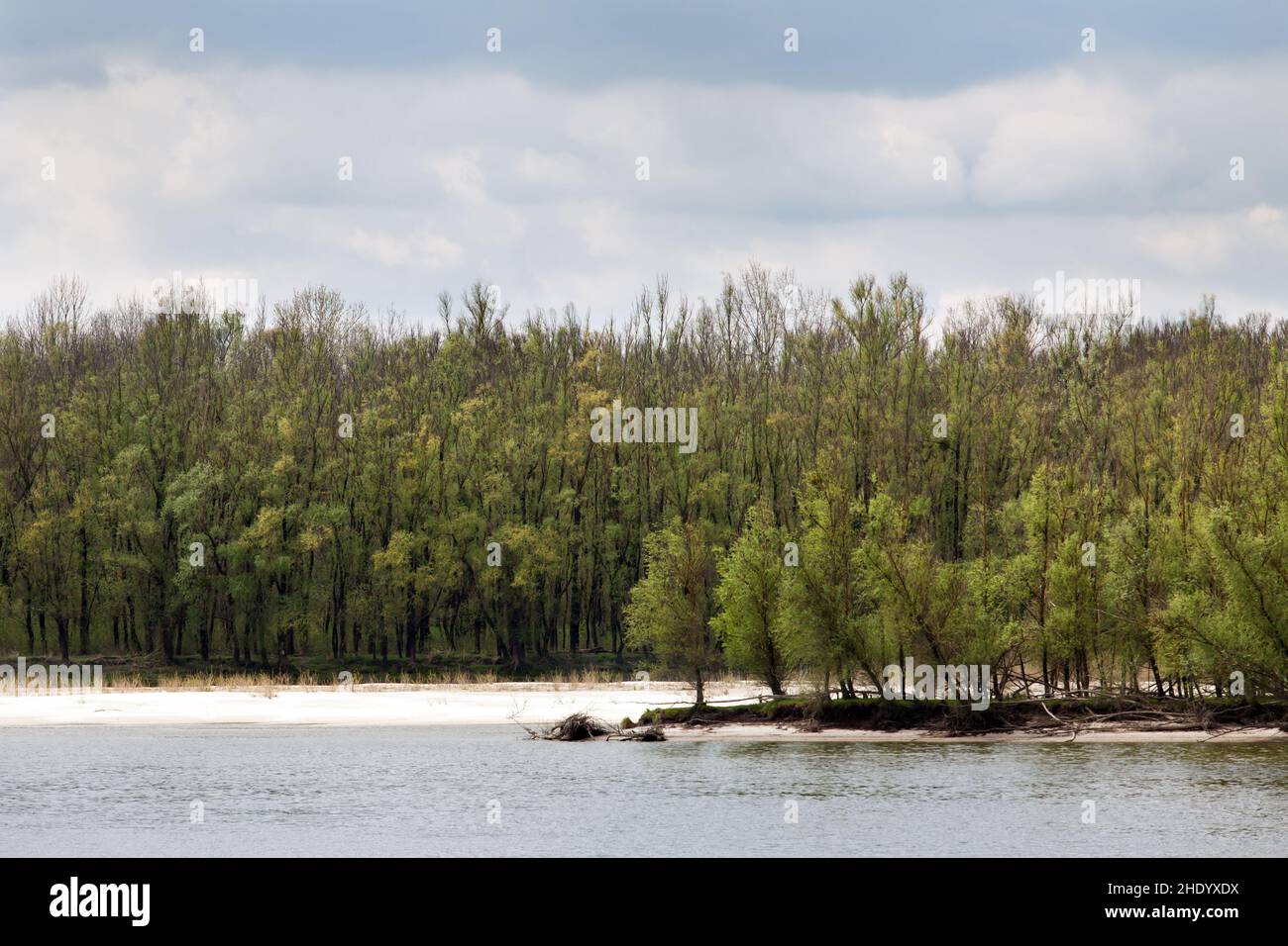 Liberland, ufficialmente la Repubblica libera di Liberland, è una micronazione che rivendica un pacco disabitato di terra contesa sulla riva occidentale del Danu Foto Stock
