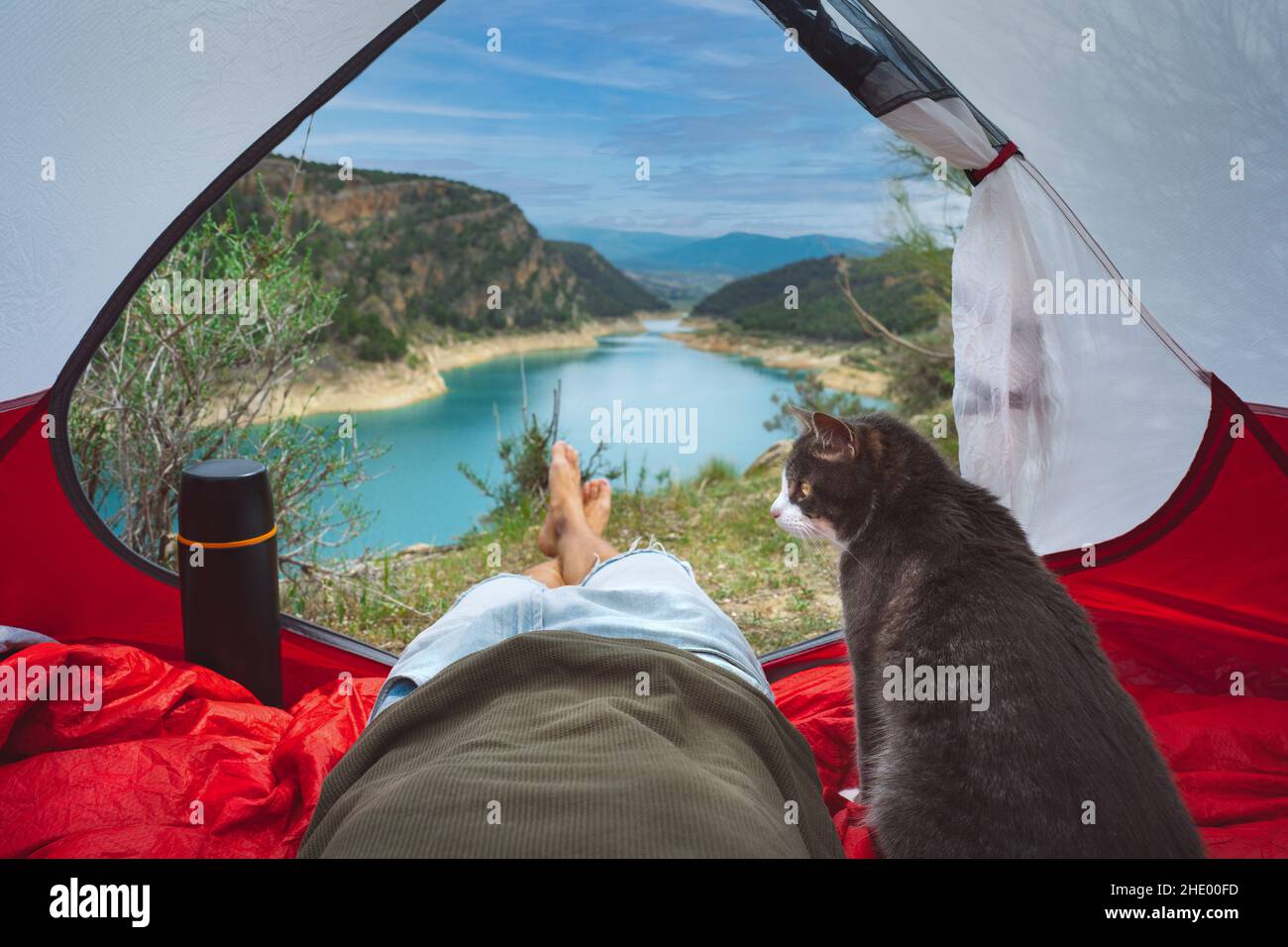 Uomo con il suo bel gatto che riposa in tenda in natura. Escursioni con animali domestici. Cat e il suo proprietario hanno un grande tempo insieme. Stile di vita e amicizia Foto Stock