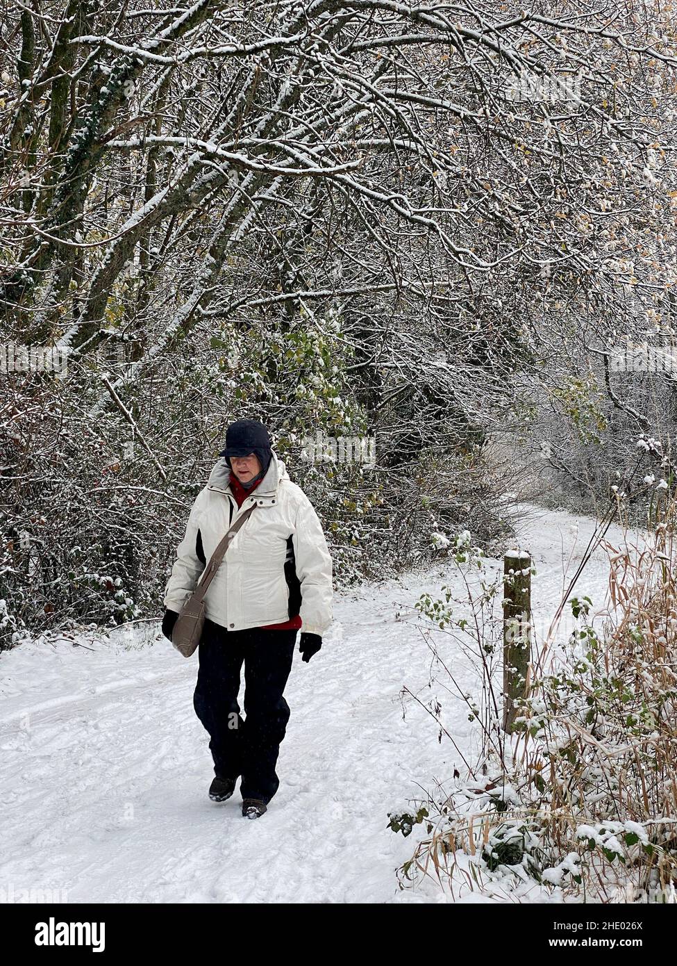 Tempo invernale - camminando lungo un sentiero innevato attraverso il bosco vicino a Keswick nel Lake District, Inghilterra nord-occidentale. Foto Stock