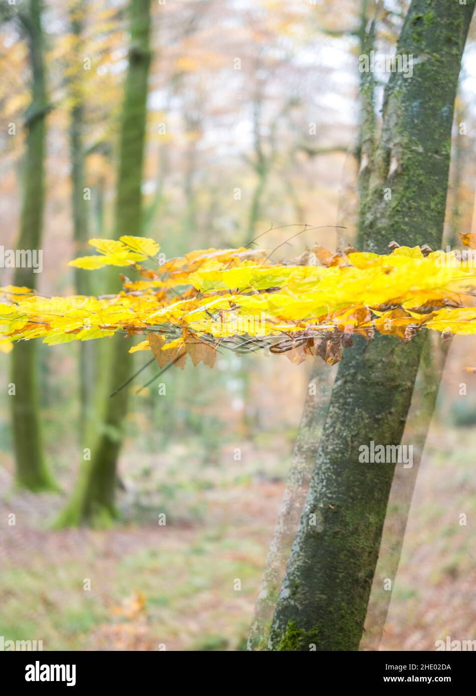 Parallel Universe, Celtic Otherworld, Inghilterra, Regno Unito. Foto Stock