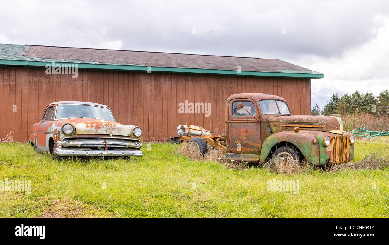 Branch Township, Michigan, USA - 22 ottobre 2021: Auto classiche arrugginite lungo la Masten Road Foto Stock