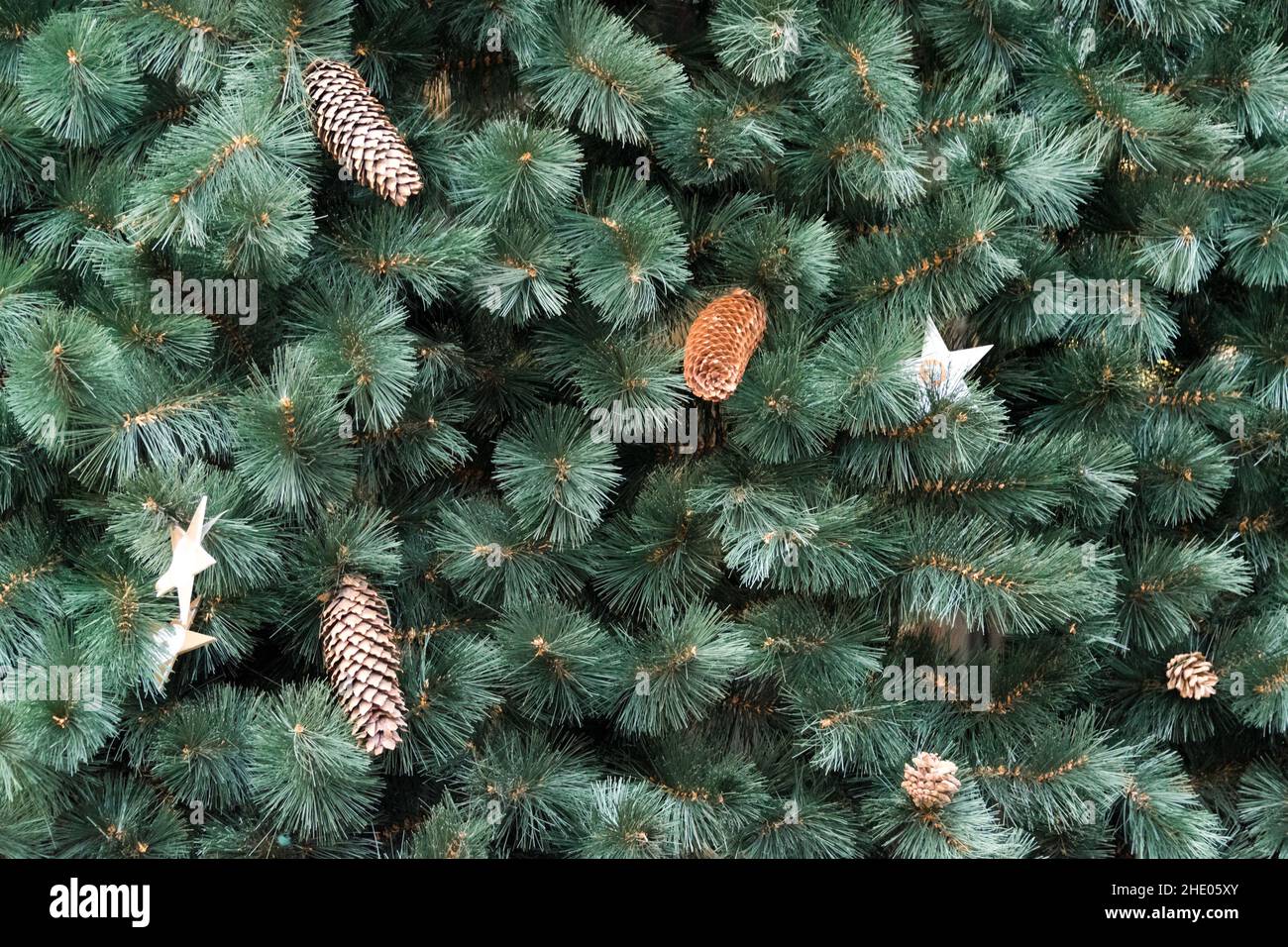 Trama di parete decorata con rami di pino verde abete, coni di abete, decorazioni di Natale sfondo. Abete rosso sempreverde Foto Stock