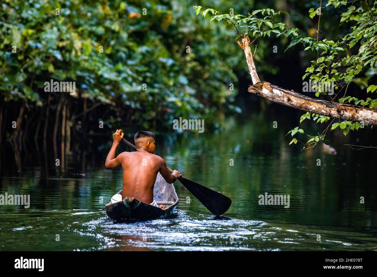 Uomo tribale nativo che nuota nella foresta pluviale di amazonia in barca fatta a mano Foto Stock