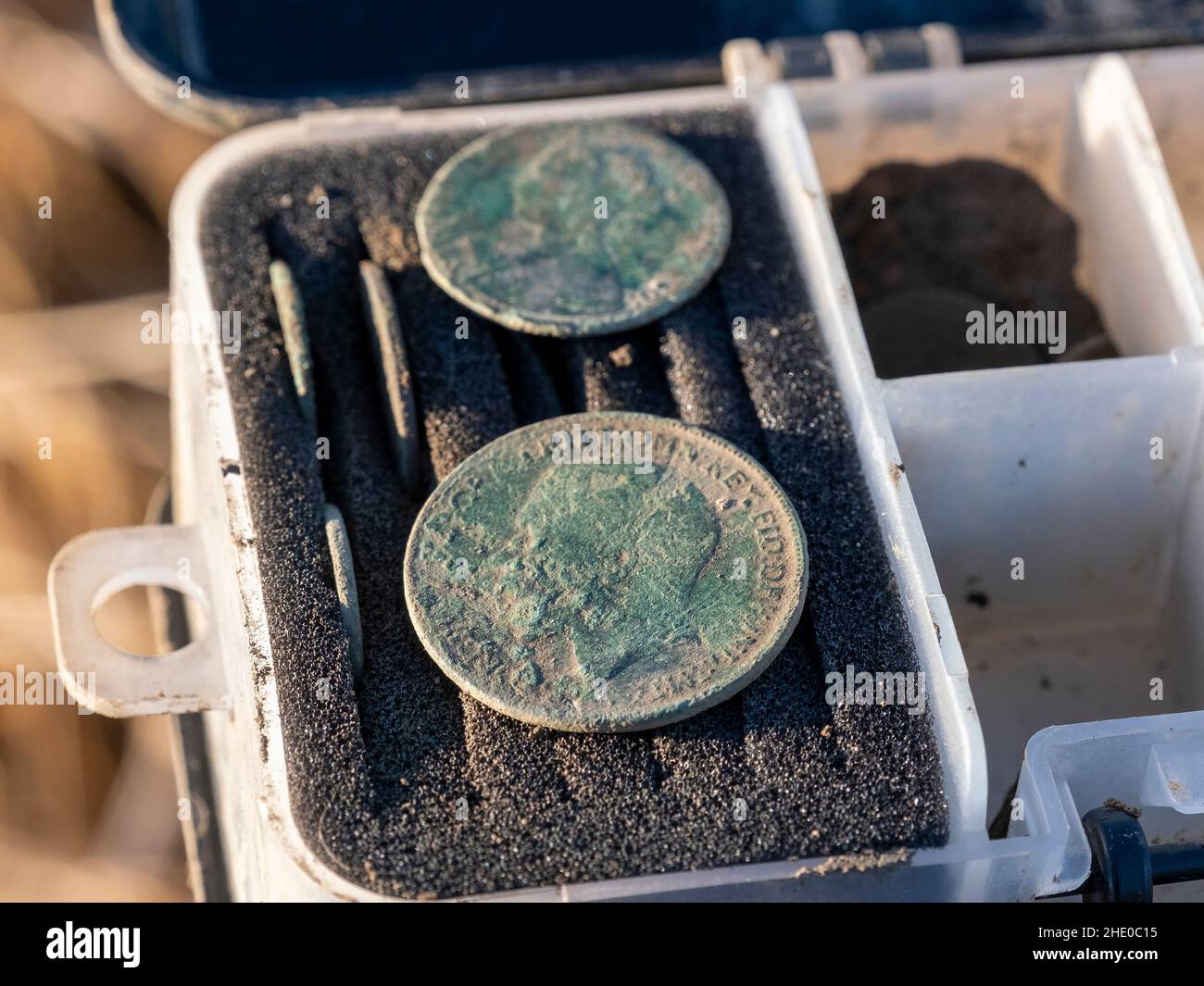 George V Penny e la moneta vittoriana trovato essere un rivelatore di metalli West Lothian, Scozia. Foto Stock