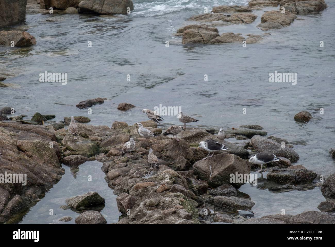 Vista delle onde che colpiscono la riva del comune di Muxia in provincia di una Coruna Foto Stock