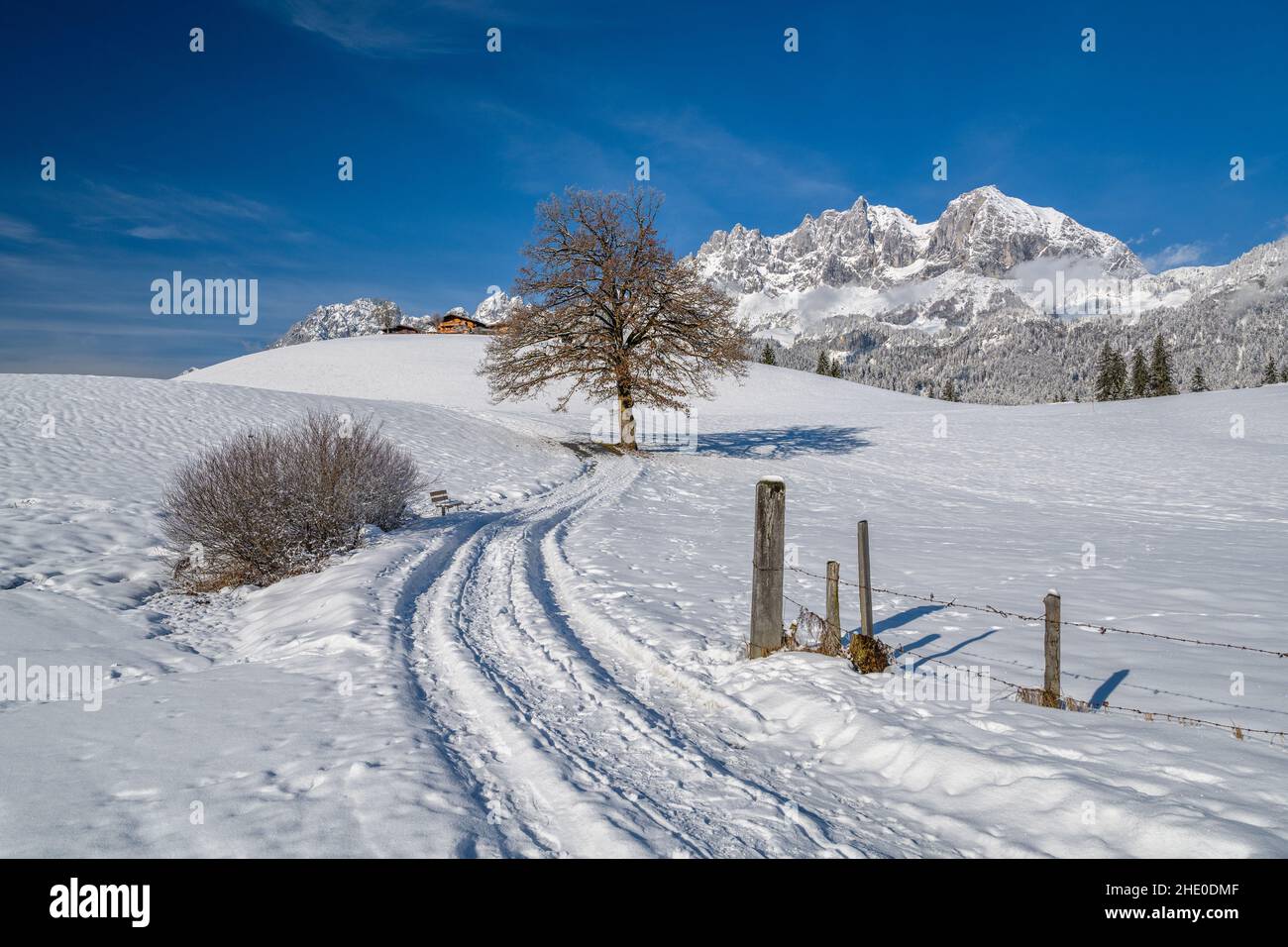 Paesaggio invernale idilliaco, Wilder Kaiser, Kitzbuehel, Tirolo, Austria Foto Stock