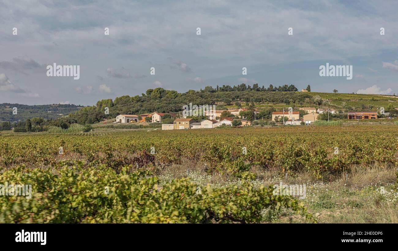 Guardando attraverso le vigne in un piccolo villaggio mediterraneo su una collina con edifici in teracotta Foto Stock