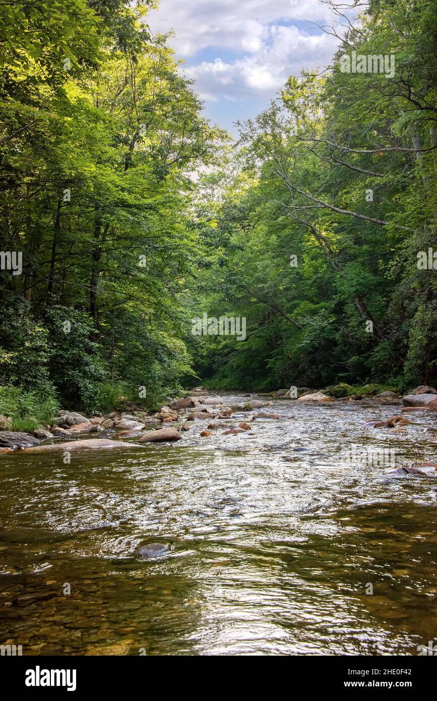 Scorre il fiume Pigeon nella montagna del North Carolina occidentale. Foto Stock