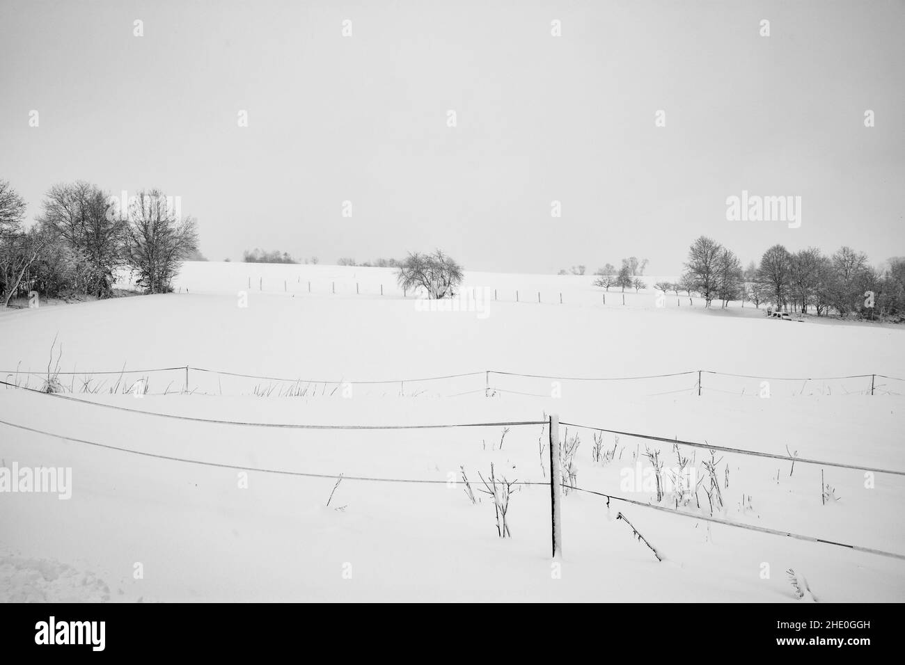 Paesaggio invernale con recinzione, alberi e molta neve in una giornata nuvolosa Foto Stock