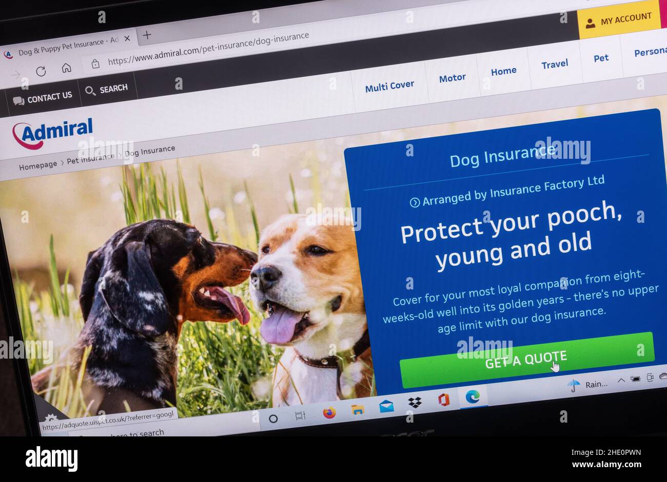 Admiral sito web di assicurazione su uno schermo di computer portatile. Assicurazione per cani, assicurazione per animali domestici. Foto Stock